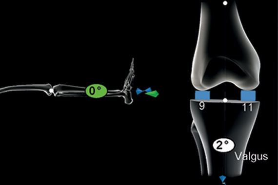 Medical image showing software technology